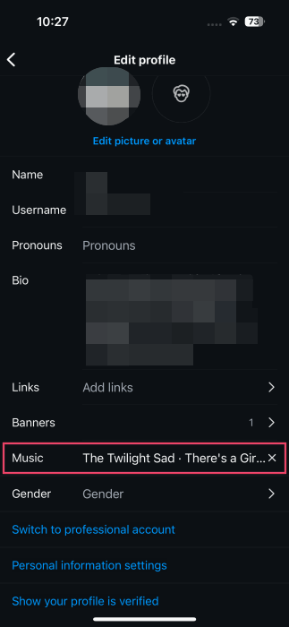 Song showing in the Music field in Edit profile screen in Instagram app on iPhone.