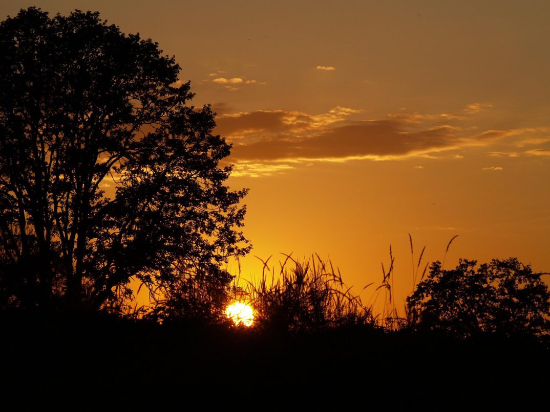 Make Money by Curating Personalized “Life Reset Retreats” for Burned-Out Remote Workers