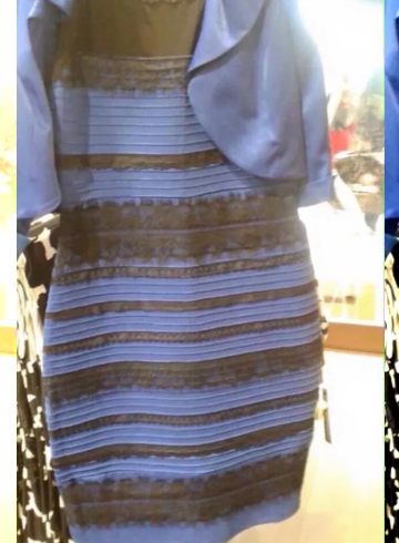 The 2015 Dress That Broke The Internet: A Deep (and Hilarious) Investigation