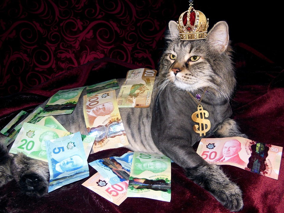 Ethical Ways to Build Wealth and Empower Communities