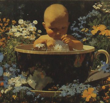 Victorian Postcard Profits