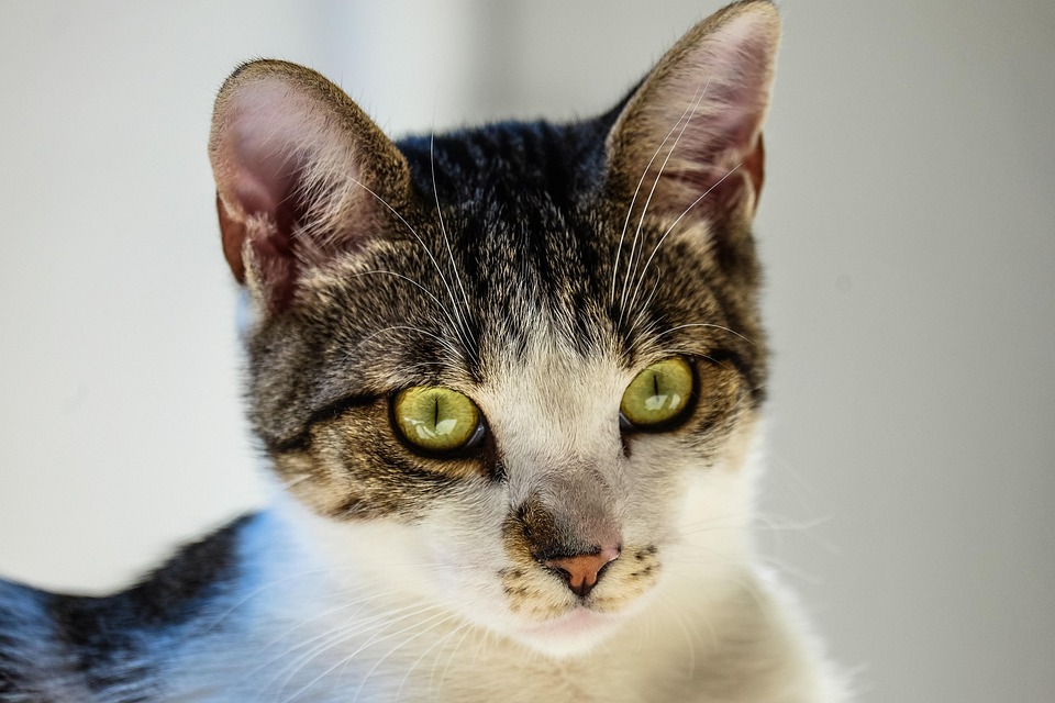 PWB Peeps Open Thread: Mood and ‘Tude