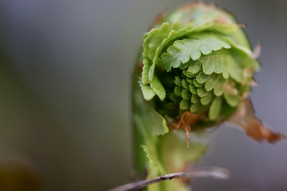 OpenAI releases new Codex app to run and supervise multiple AI agents on macOS