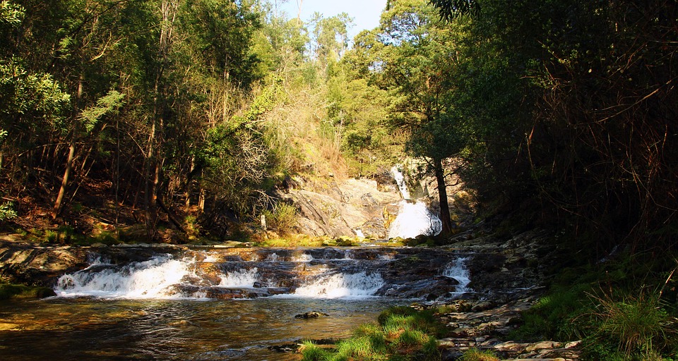 ‘We did not chase clicks, we build trust’ – How Hubspot wants to help write the AI marketing playbook