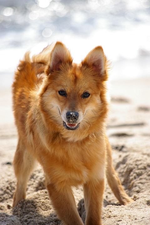 New AI Model Released By OpenAI