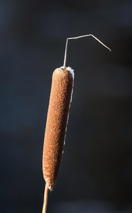 Marine Corps releases new guidance on Maven Smart System rollout