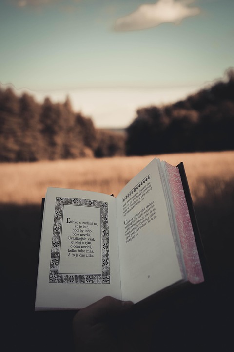 Tapestry appoints Pinterest executive Matt Madrigal to board of directors