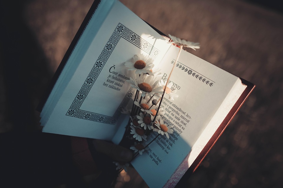 Pinterest picks Farimah Moeini as first hire in the MENA region