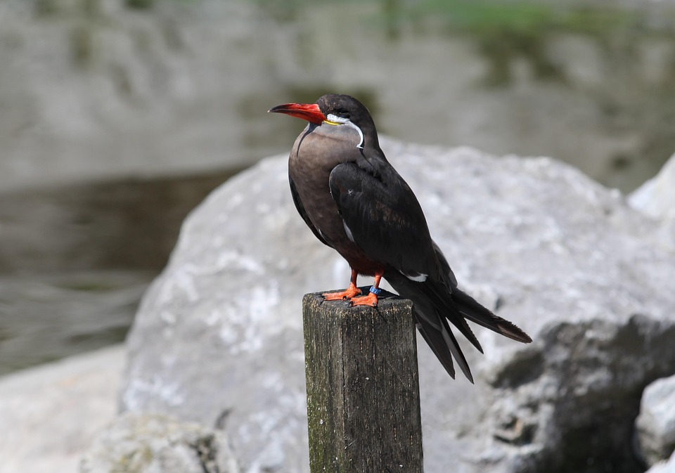 Lululemon Fined More Than 0,000 for Sending Emails That Violate Spam Laws