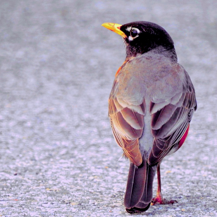 YouTube usage outpaces social media rivals over past year, YouGov finds