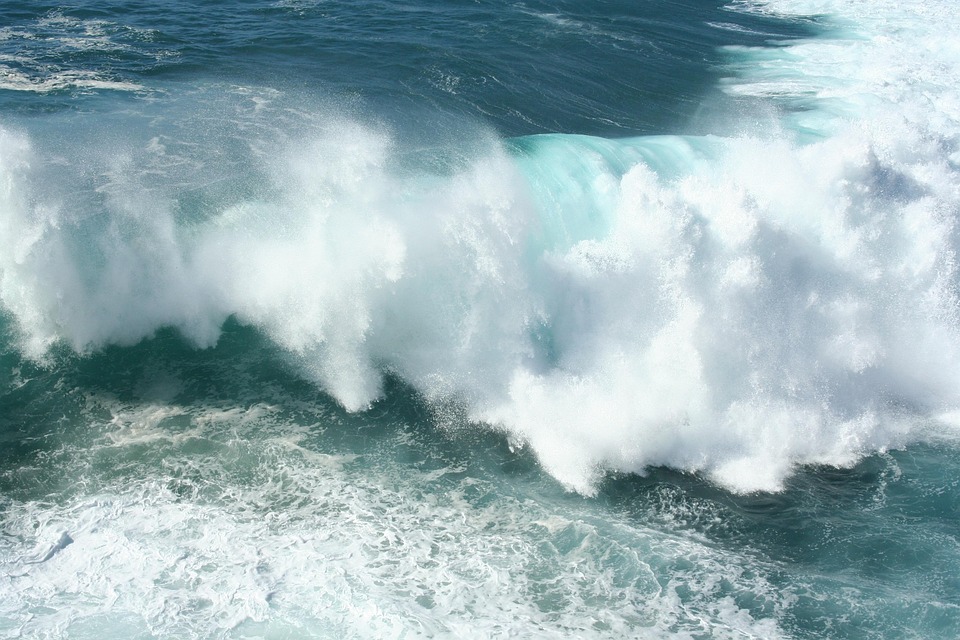 Elon Musk on TikTok Now, is it Genius Marketing or Pure Curiosity?