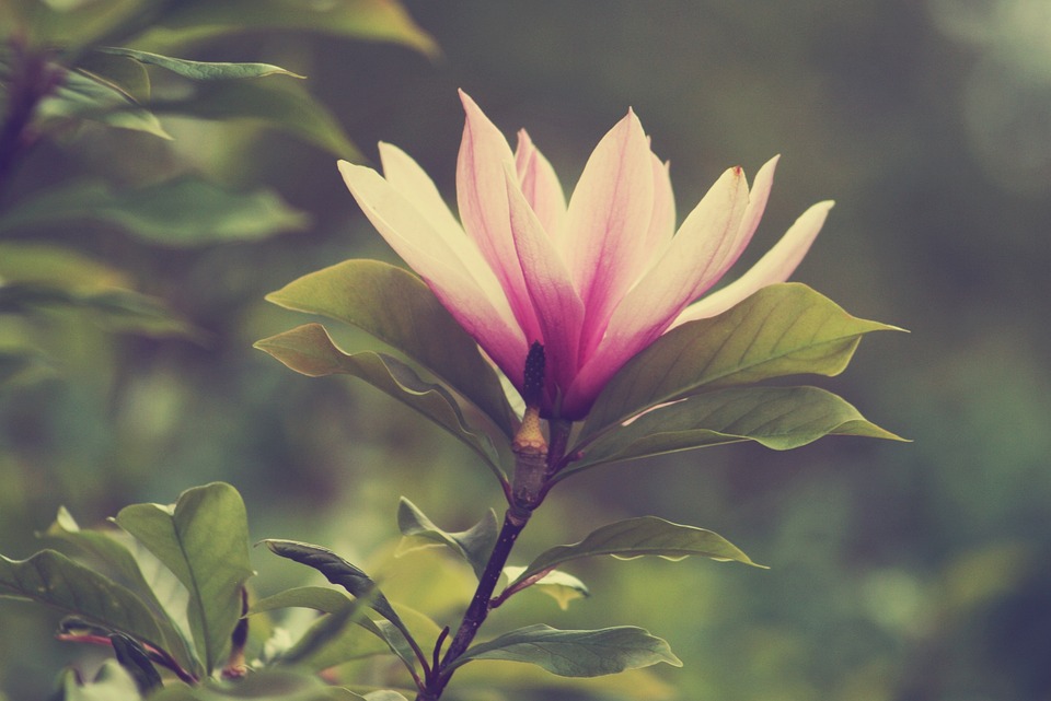 Freelancers HUB Introduces Tailored Instagram Marketing Service