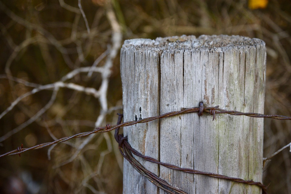 This Easy iOS Feature Is How I Protect My Real Email From Holiday Spam