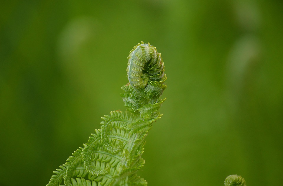 Software Ate the World. Now AI Is Eating Software.