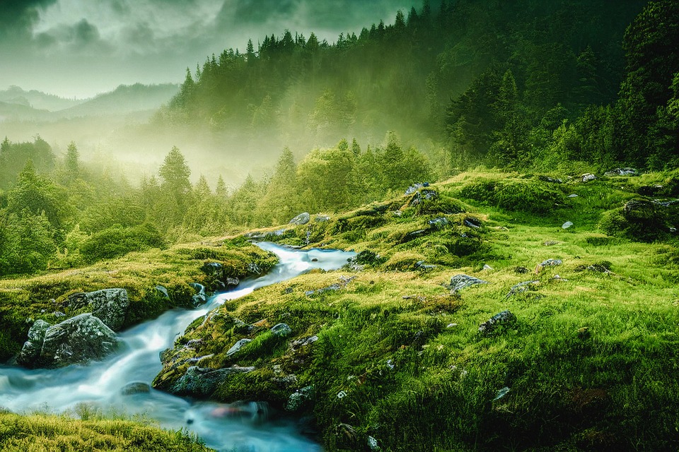 Nano Banana AI: Your Gemini Prompt Guide