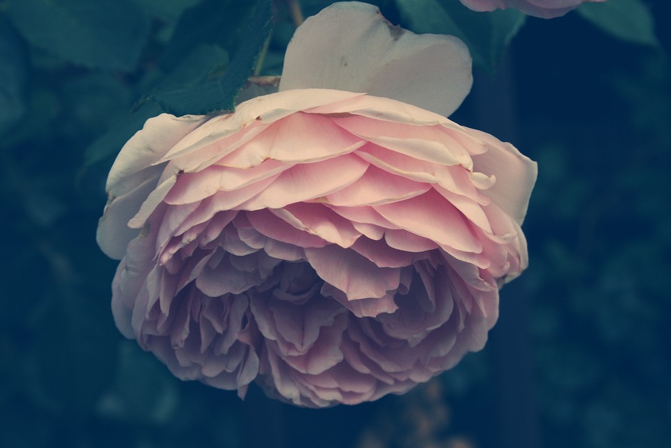 How AI is Revolutionizing Hashtags in 2025