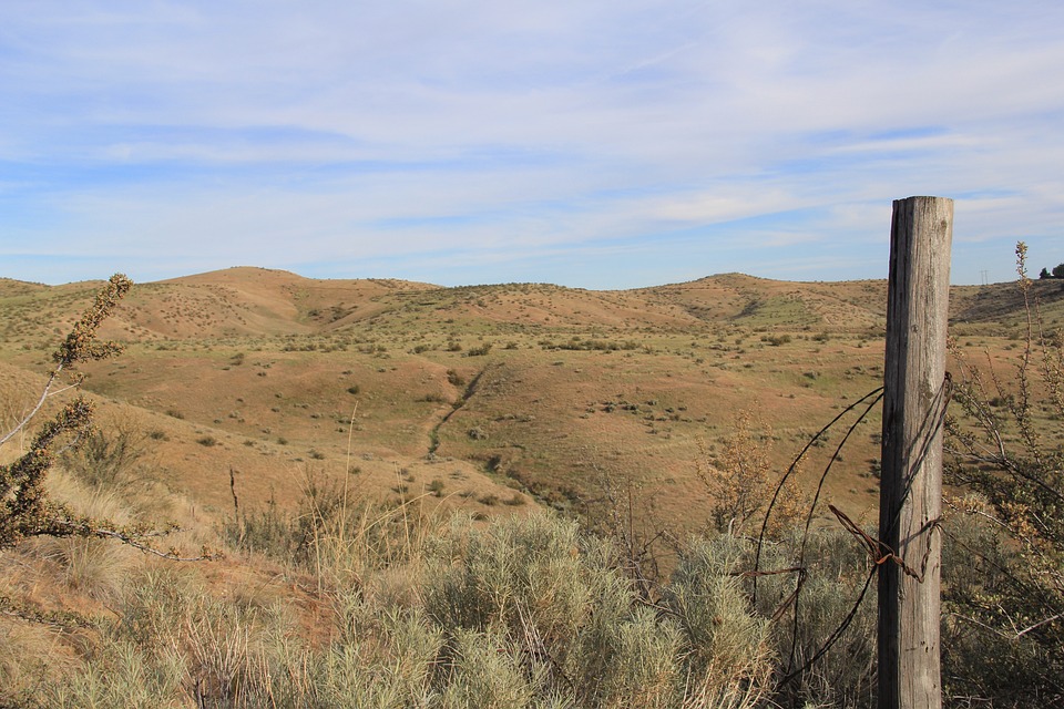 Before You Click Send, ask the SPF checker: Friend, Foe, or Phish?