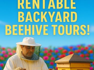 Making Sweet Money with Rentable Backyard Beehive Tours