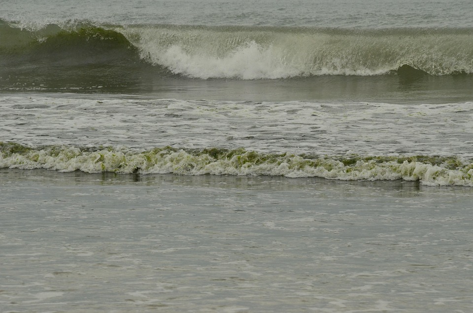 Communications professional Tim Gregg to share personal branding tips and tools | News