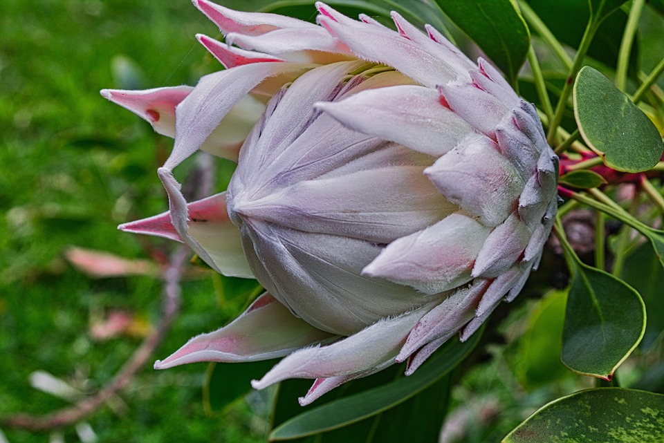 iScanner released a new AI feature that allows users to repair document edges