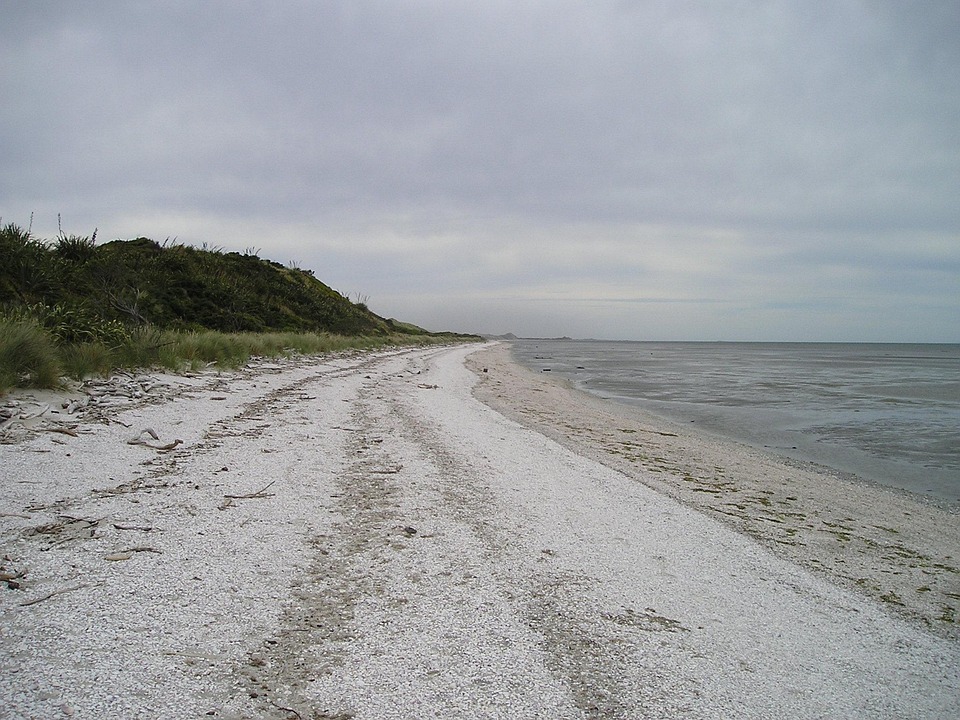 DeepSeek unveils new AI models rivalling GPT-5 and Gemini 3 Pro | Technology News