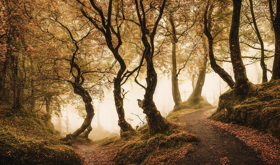 ASUS Announces UGen300 USB AI Accelerator | ASUS Pressroom