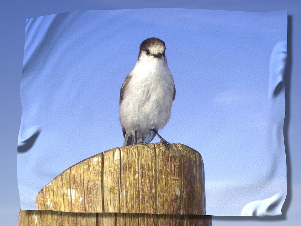 Scam emails crafted by AI trick 4.5x more people, Microsoft finds