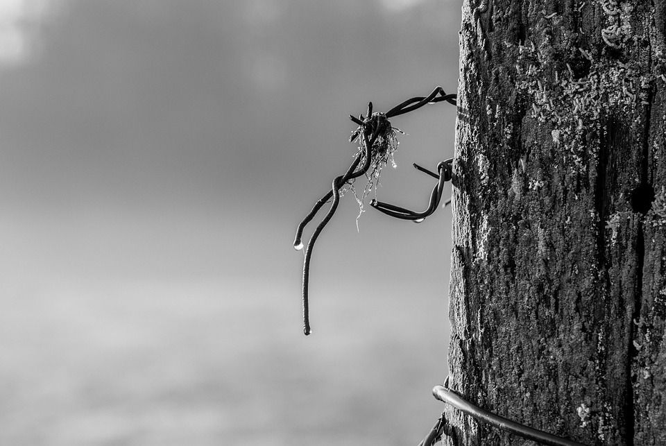 Iberville Parish man loses nearly ,000 to sophisticated warrant scam