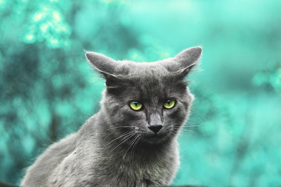 104 Memes And Posts That Are So Unapologetically British, It Hurts