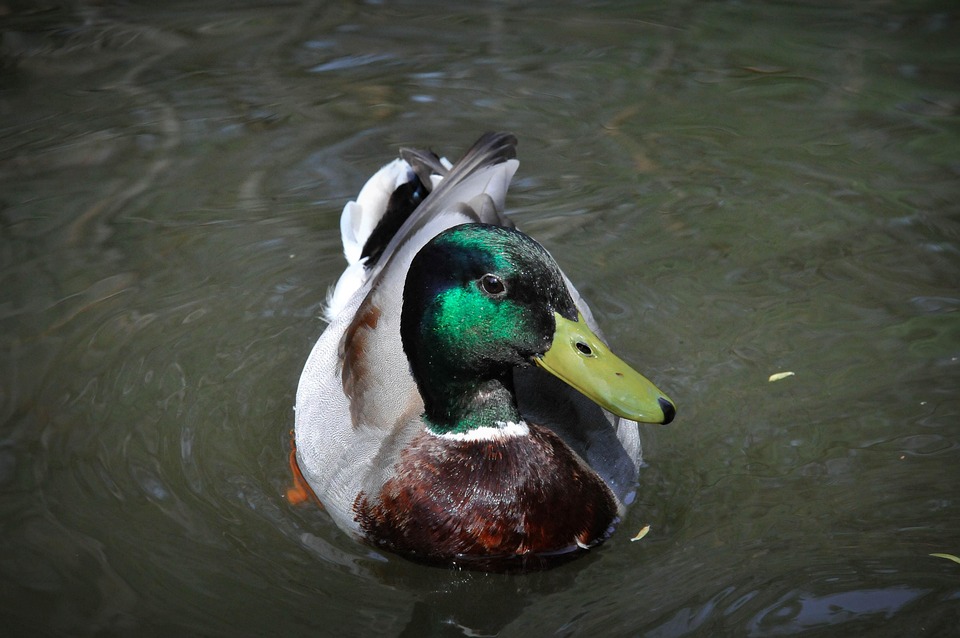 11 Marketing Leaders Focused on Social Media