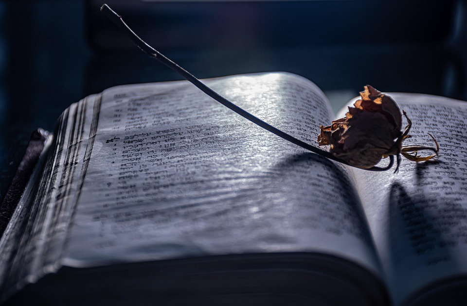 SEO and Social Media: A Cross-Channel Strategy