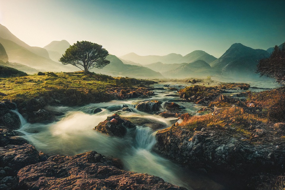 Take-Two Shuts Down Internal AI Team