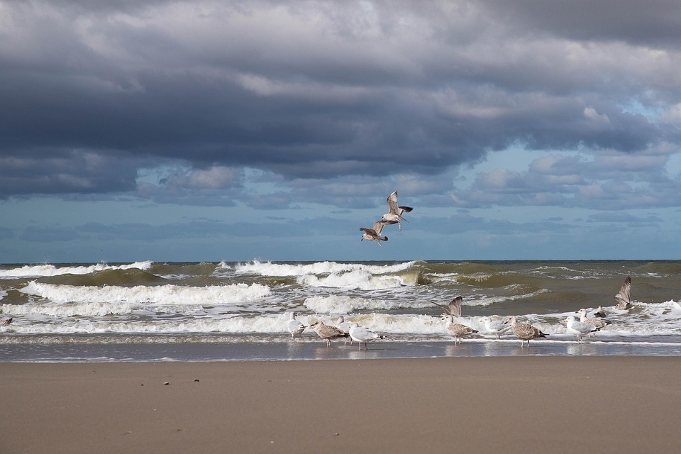 Students offered personal brand coaching