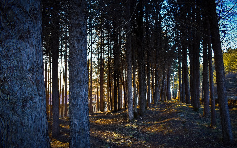 Meta Announces Updates for the Instagram Marketing API