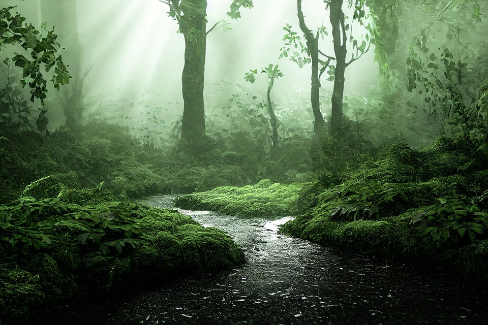 Augment, don’t replace: Why AI ethics is now a board-level duty