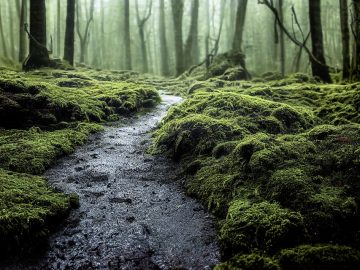 Generative AI Pressures Education Reform