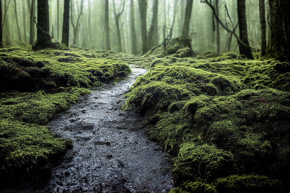 Pennsylvania expanded generative AI to 3,000 employees, with thousands more in training