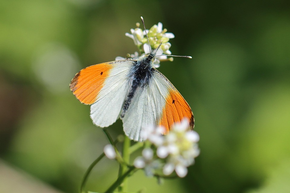 The Most Intuitive Galaxy AI Phone Yet – Samsung Global Newsroom