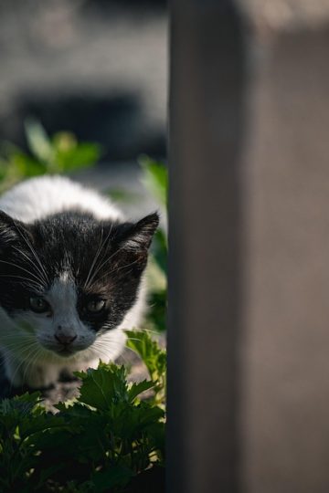 Social Media Trends in 2026: What’s Next