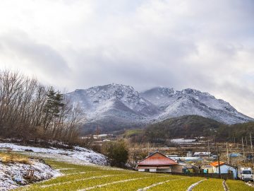 A radical use of deepfake technology is offering hope for survivors of abuse.