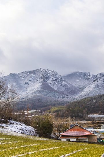 Jared Harris Instructs Lawyers After AI Podcast Faked His Likeness