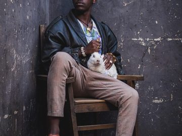 Cats galore! These pets are available for adoption in Lane County