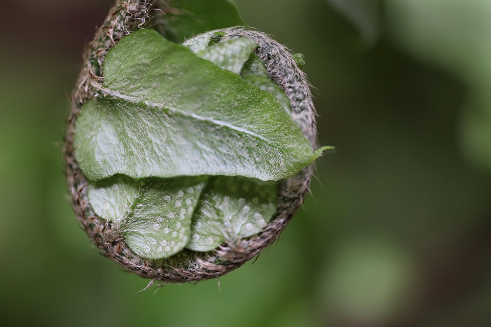 New AI models are losing their edge almost immediately – Fast Company Middle East