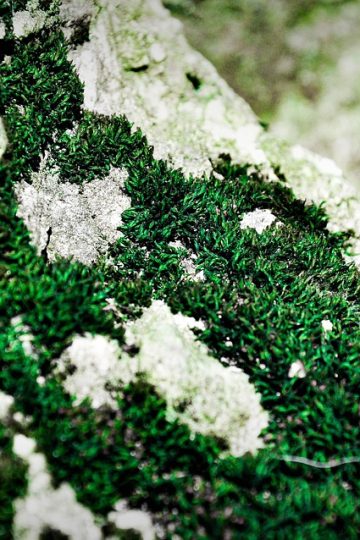 The Shade Room (@theshaderoom)