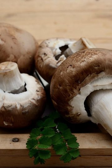 Americans Treat Exercise as Essential Spending Heading Into 2026