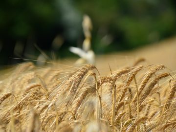 Some creators don’t see immediate value in Instagram’s controversial ‘Shop the Look’ AI test