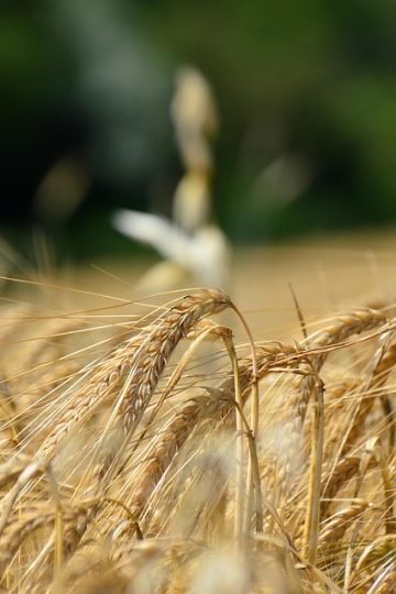 Some creators don’t see immediate value in Instagram’s controversial ‘Shop the Look’ AI test