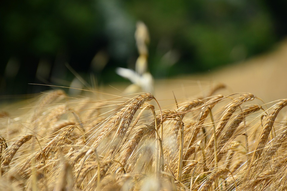 Some creators don’t see immediate value in Instagram’s controversial ‘Shop the Look’ AI test