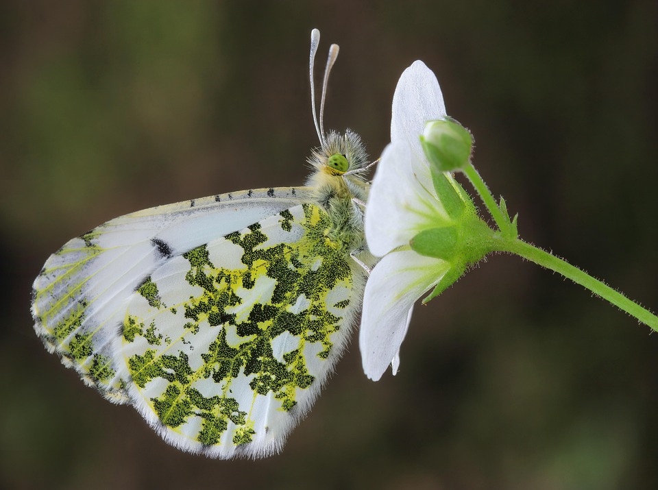 DeepSeek just dropped two insanely powerful AI models that rival GPT-5 and they're totally free