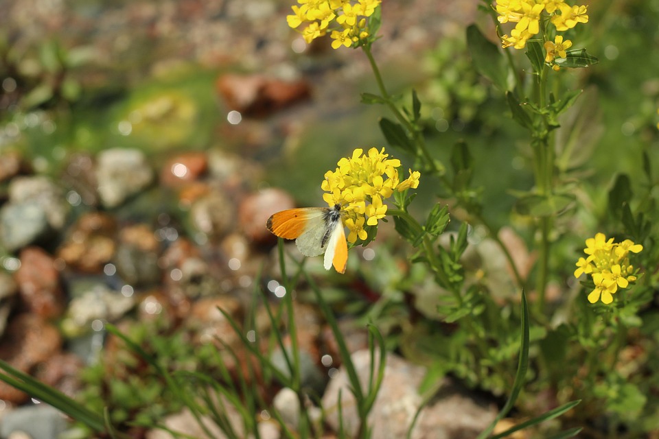 Paladin Capital Group Releases Latest Safety Tech Report, Finds Growing and Evolving Industry to Protect Users as AI Adoption Accelerates